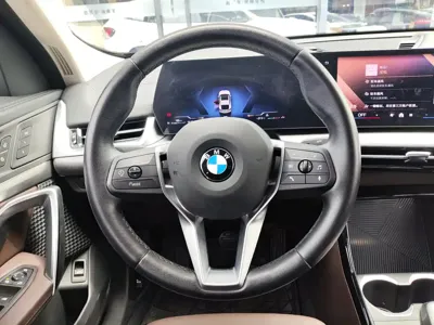 BMW X2 (Import)