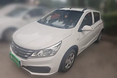 Baojun 310