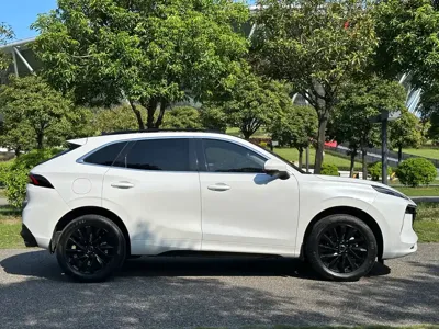 Fengxing Fengxing T5 EVO