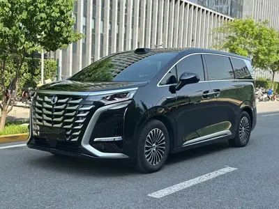 Denza Denza D9