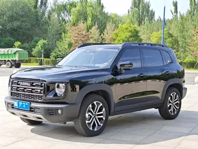 Haval Big Dog