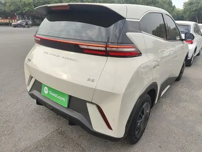 BYD Seagull