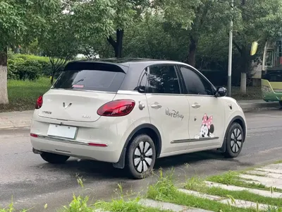 Wuling Bingo