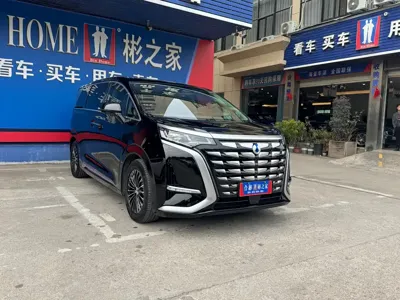 Denza Denza D9
