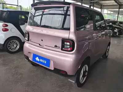 Galaxy Panda