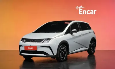 BYD Dolphin