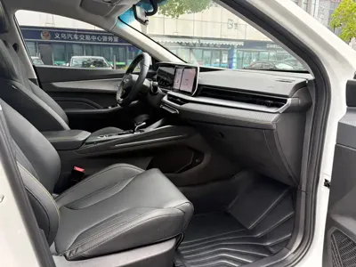 Geely Binrui