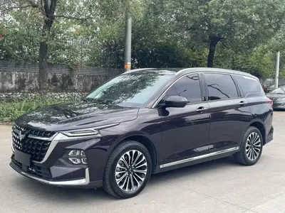Wuling Victory
