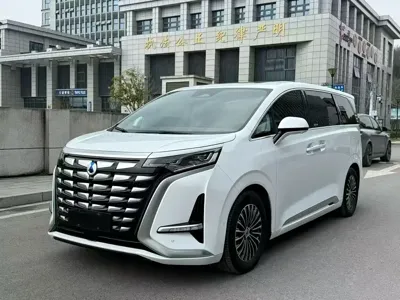Denza Denza D9