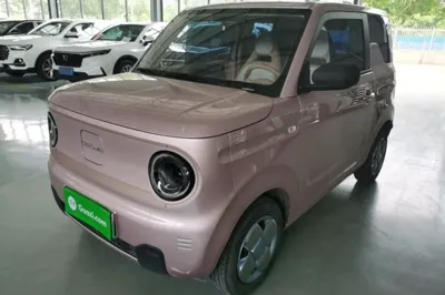 Geely Galaxy Panda