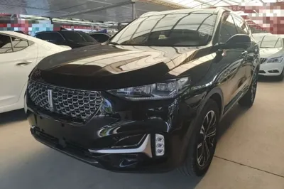WEY VV6
