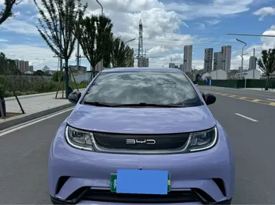 BYD Dolphin