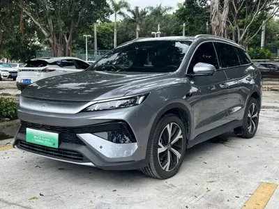 BYD Pro New Energy