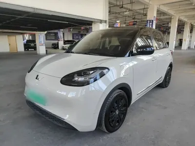 Wuling Bingo