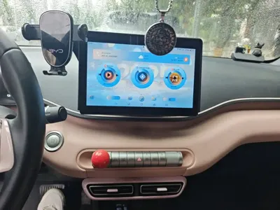 BYD Seagull