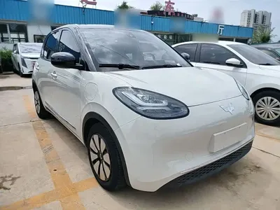 Wuling Bingo