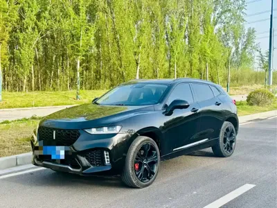 WEY Wey VV7
