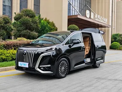 Denza Denza D9
