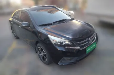 Zotye Z300