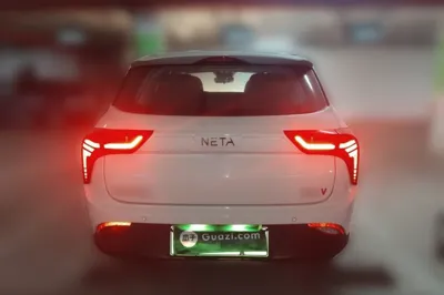 NETA V