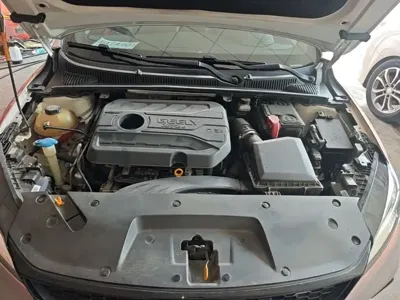 Geely Binrui