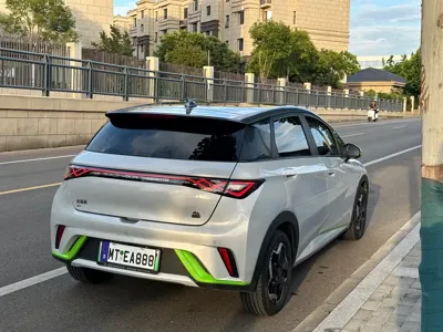 BYD Dolphin