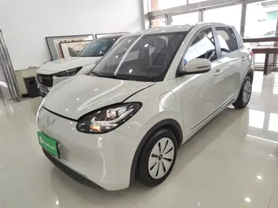 Wuling Bingo