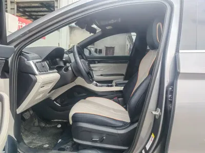 BYD PLUS New Energy