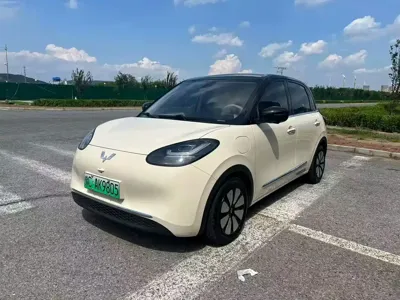 Wuling Bingo
