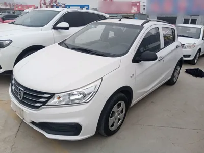 Baojun 310