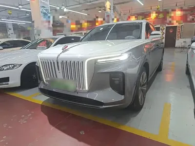 Hongqi Hongqi E-HS9
