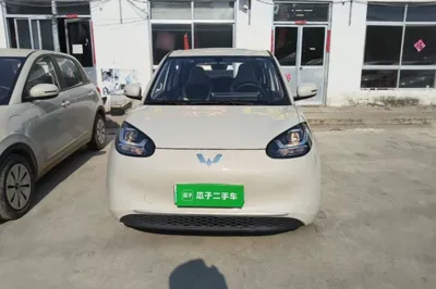 Wuling Bingo