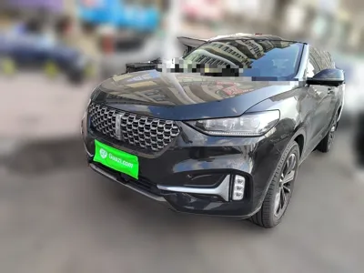 WEY VV6