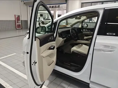 Denza Denza D9