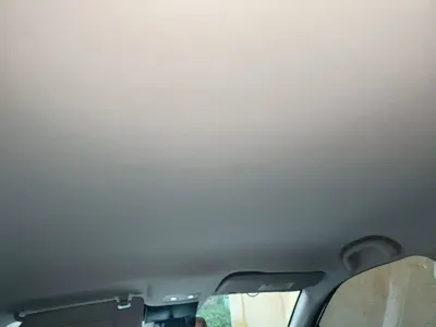 NETA Neta V