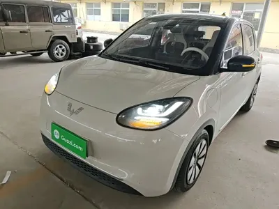 Wuling Bingo