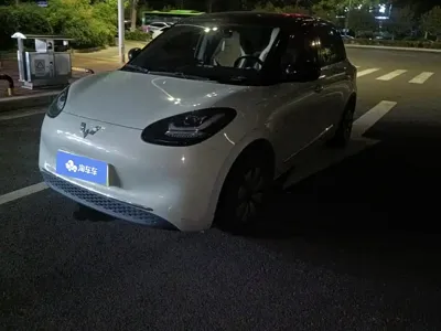 Wuling Bingo