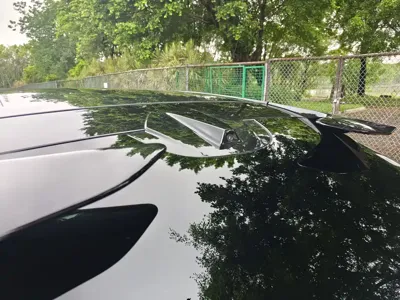 Lotus For Me