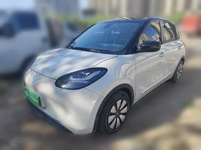 Wuling Bingo