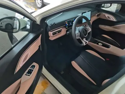 BYD Seagull