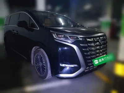 Denza D9