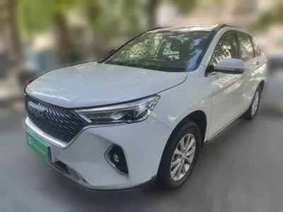 Haval M6