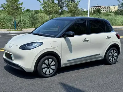 Wuling Bingo