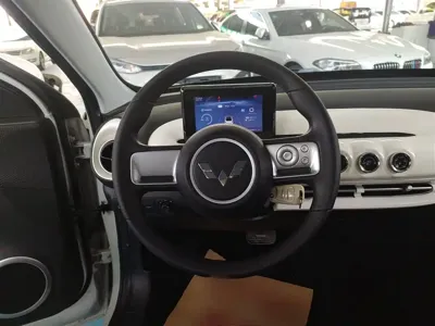 Wuling Bingo