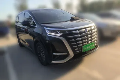 Denza D9