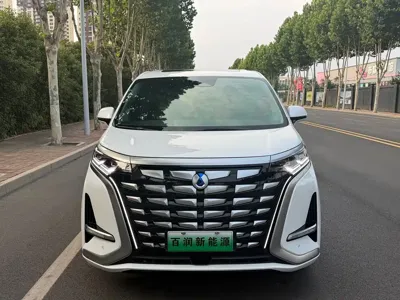 Denza Denza D9