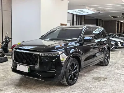 Li Auto Li ONE