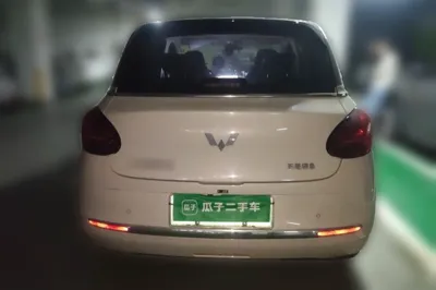Wuling Bingo