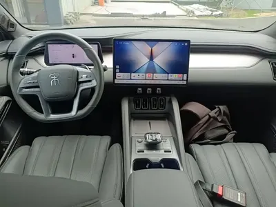 BYD L EV
