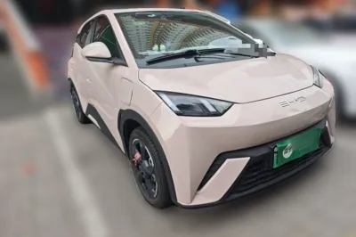 BYD Seagull
